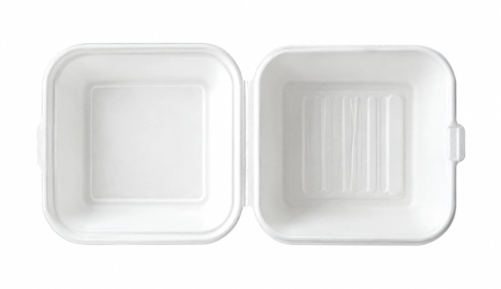 Bagasse Packaging 4