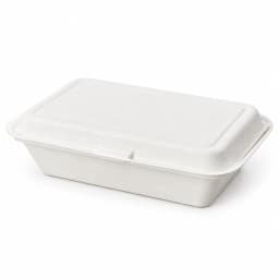Bagasse Hinged Container - 1200ml (9x6) view 2