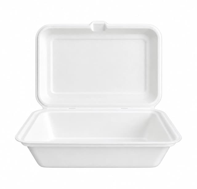 Bagasse Hinged Container - 1200ml (9x6)