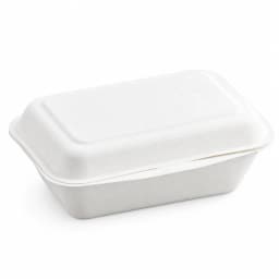 Bagasse Hinged Container - 750ml (5x7) view 1