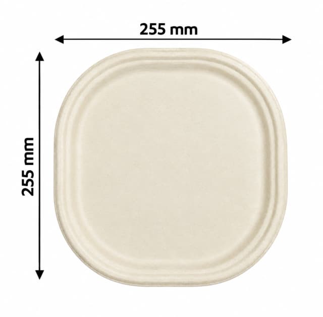 Eco Sugarcane Bagasse Plates & Wooden Cutlery