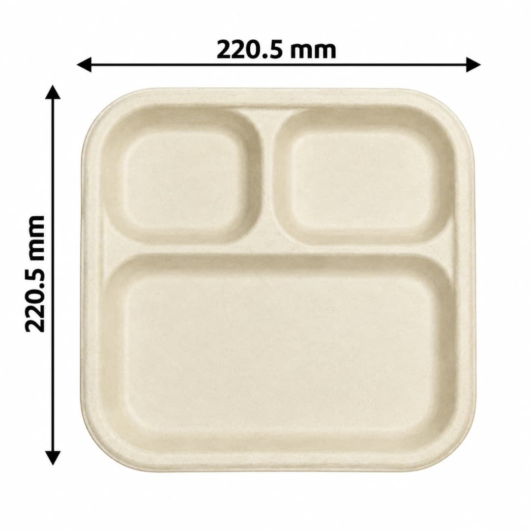 Bagasse Tray - 3cp